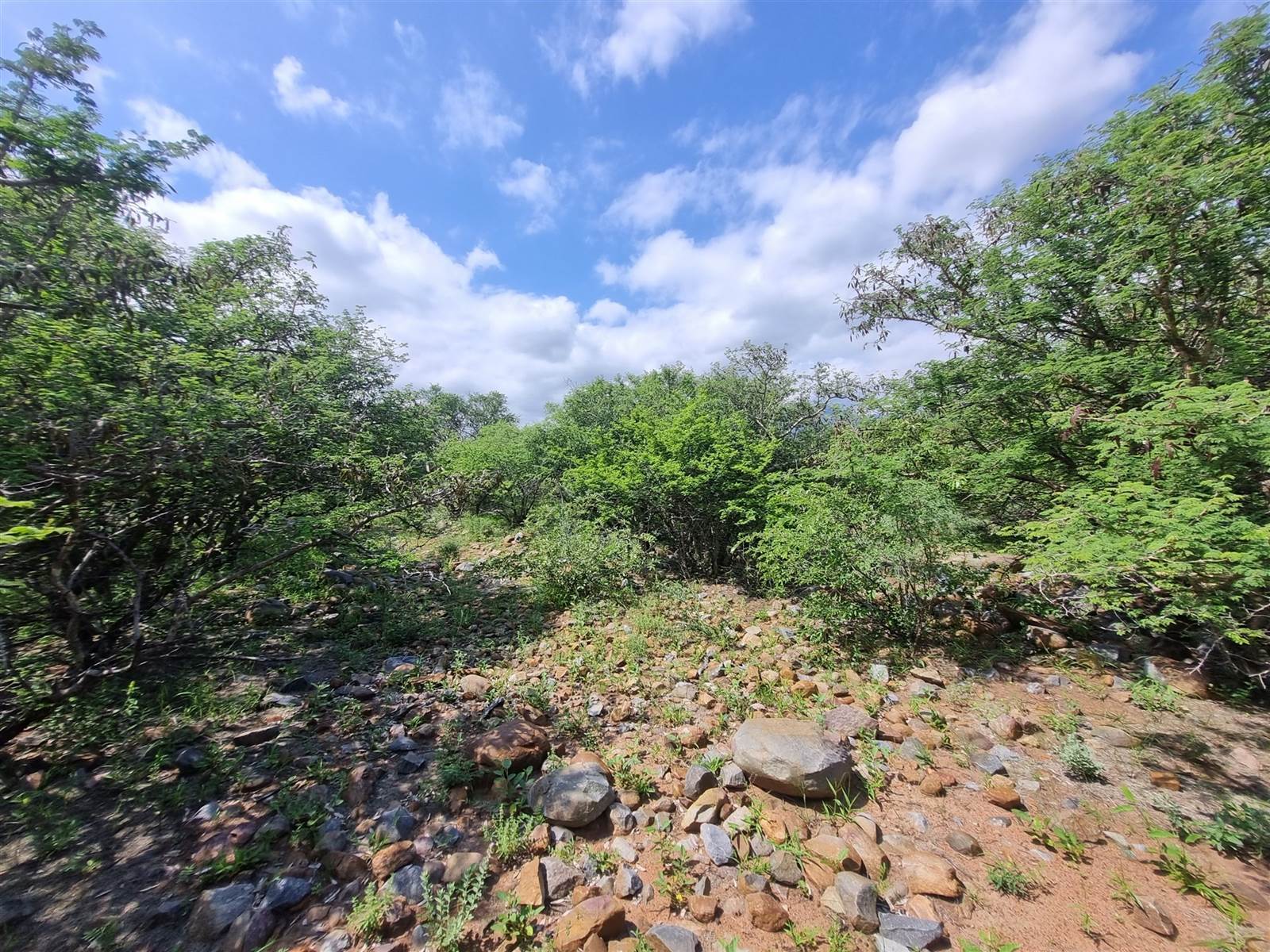 3000 m² Land available in Blyde Wildlife Estate photo number 5