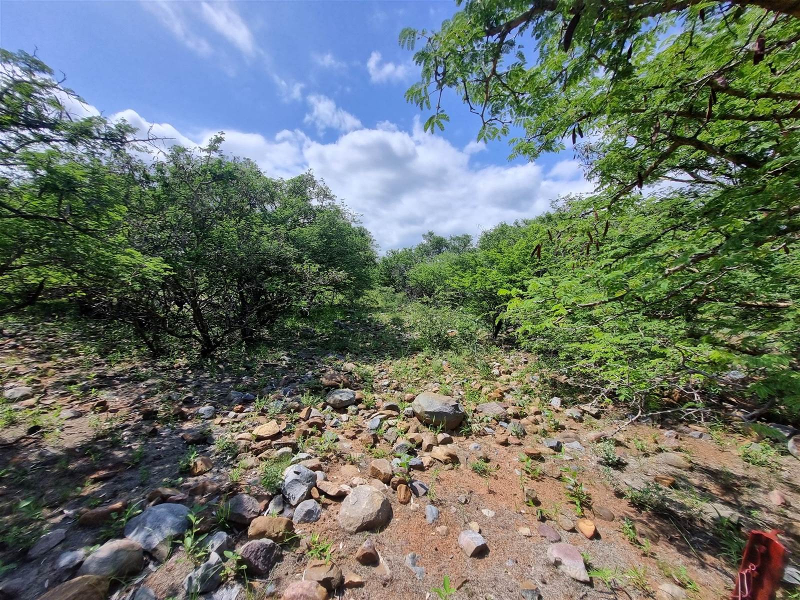 3000 m² Land available in Blyde Wildlife Estate photo number 4