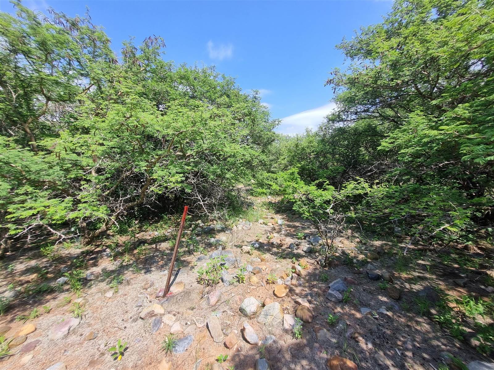 3000 m² Land available in Blyde Wildlife Estate photo number 3