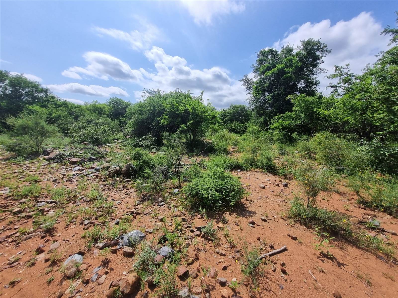 3000 m² Land available in Blyde Wildlife Estate photo number 8