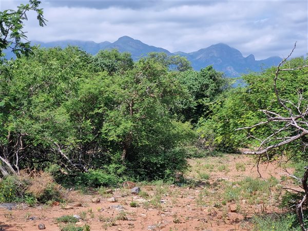 3000 m² Land available in Blyde Wildlife Estate