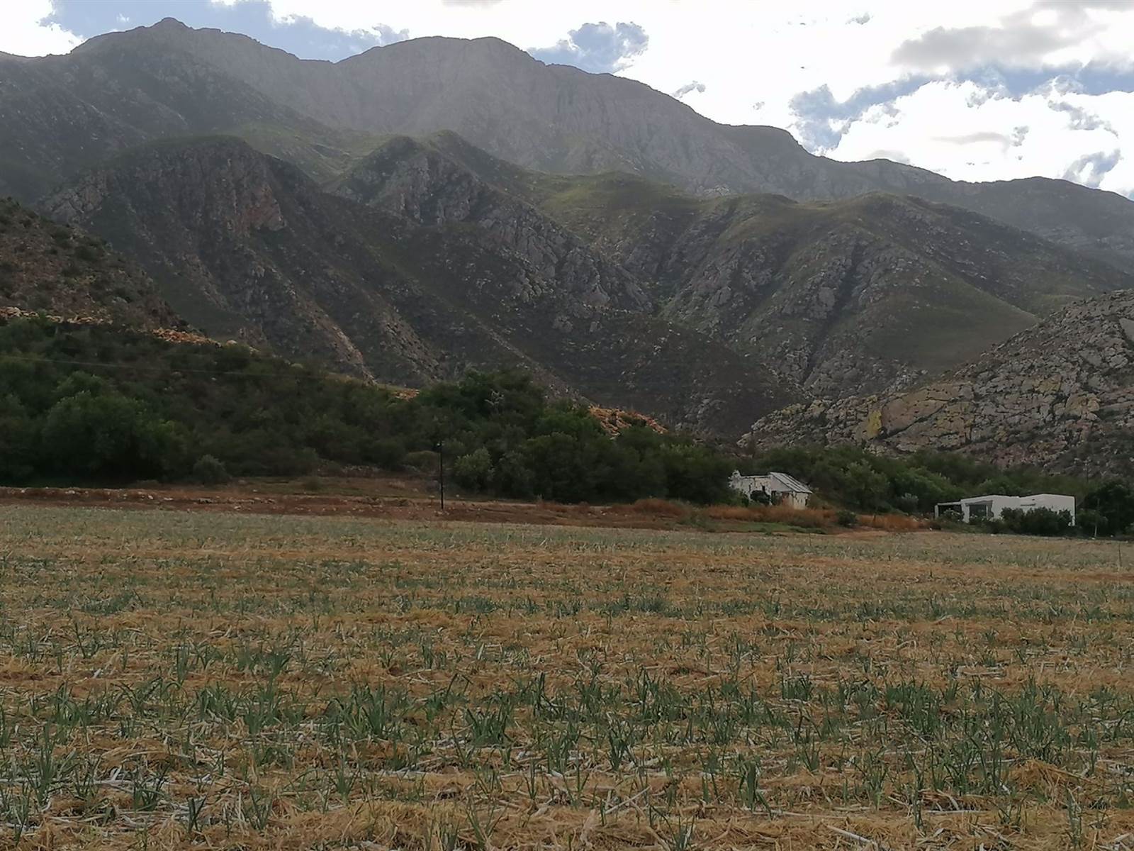 77 ha Farm in Calitzdorp photo number 12
