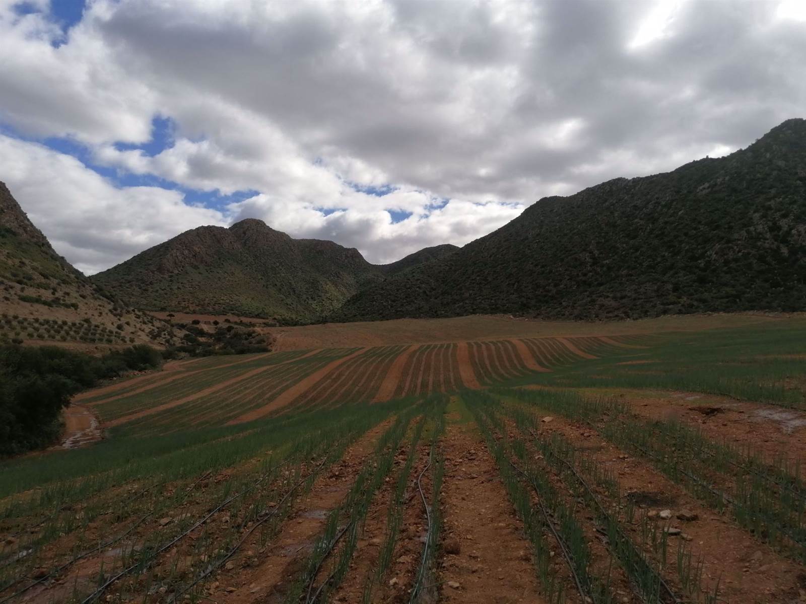 77 ha Farm in Calitzdorp photo number 10