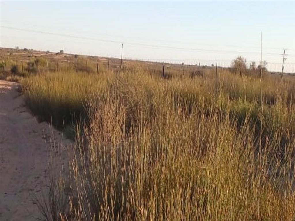 556 m² Land available in Graafwater photo number 5