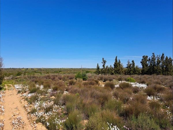 556 m² Land available in Graafwater
