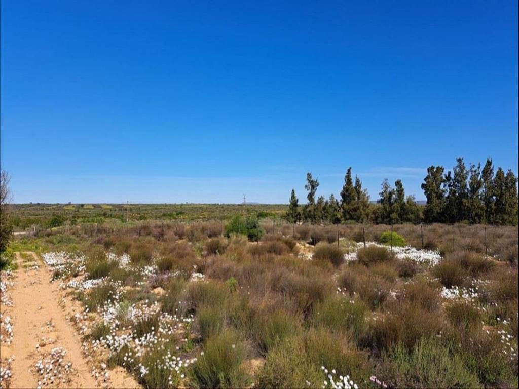 556 m² Land available in Graafwater photo number 1