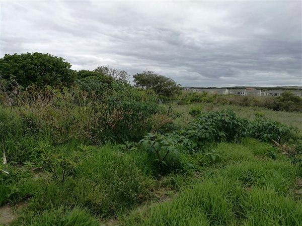 785 m² Land available in Port Alfred