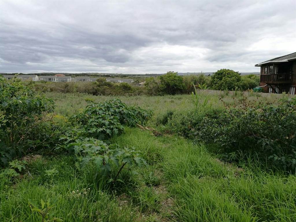 785 m² Land available in Port Alfred photo number 2