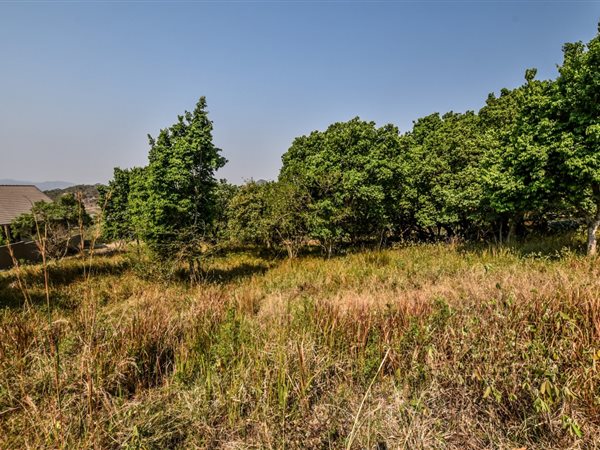 1557 m² Land available in Shandon Estate