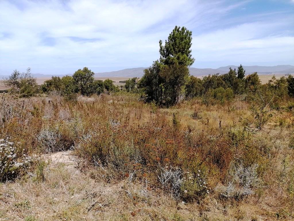 618 m² Land available in Caledon photo number 17