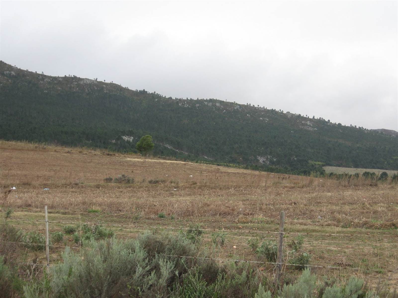 618 m² Land available in Caledon photo number 9