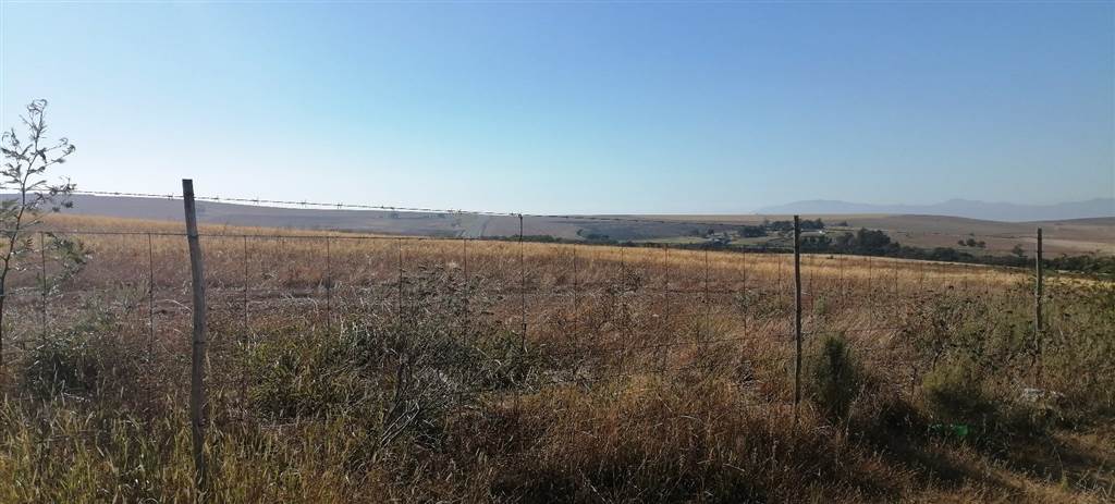 618 m² Land available in Caledon photo number 16