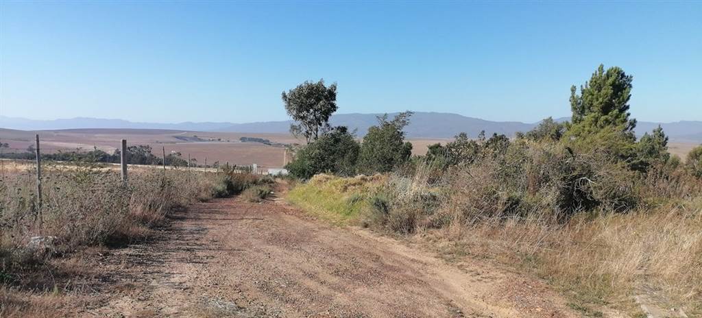 618 m² Land available in Caledon photo number 6