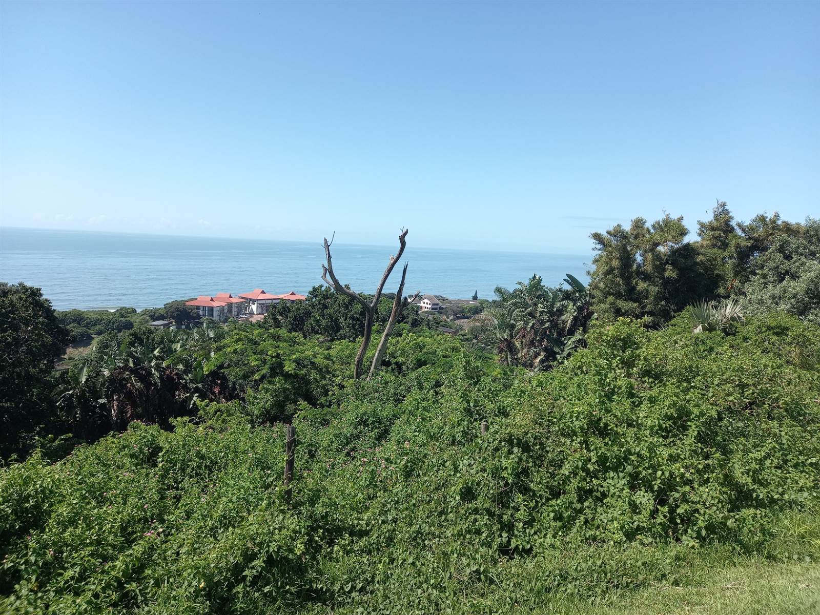1080 m² Land available in Zinkwazi Beach photo number 5
