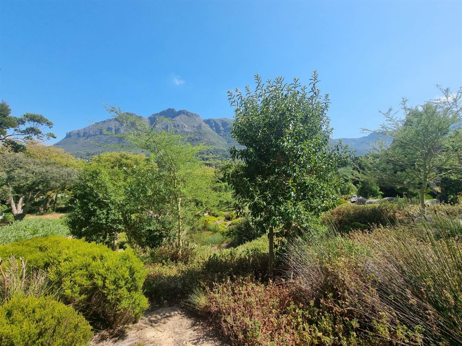 673 m² Land available in Hout Bay and surrounds photo number 7