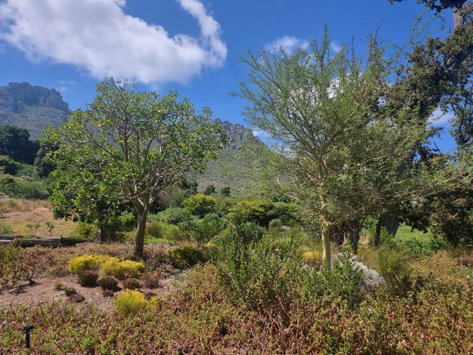 673 m² Land available in Hout Bay and surrounds photo number 3