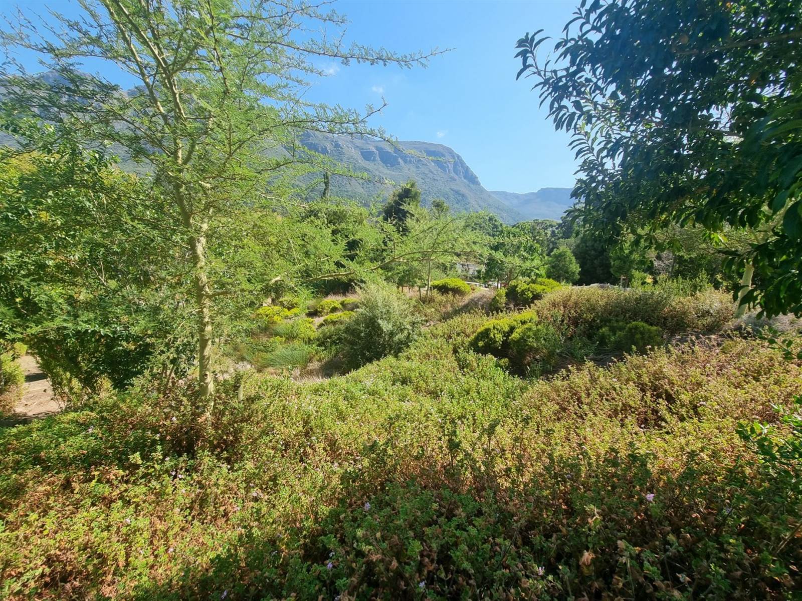 673 m² Land available in Hout Bay and surrounds photo number 4