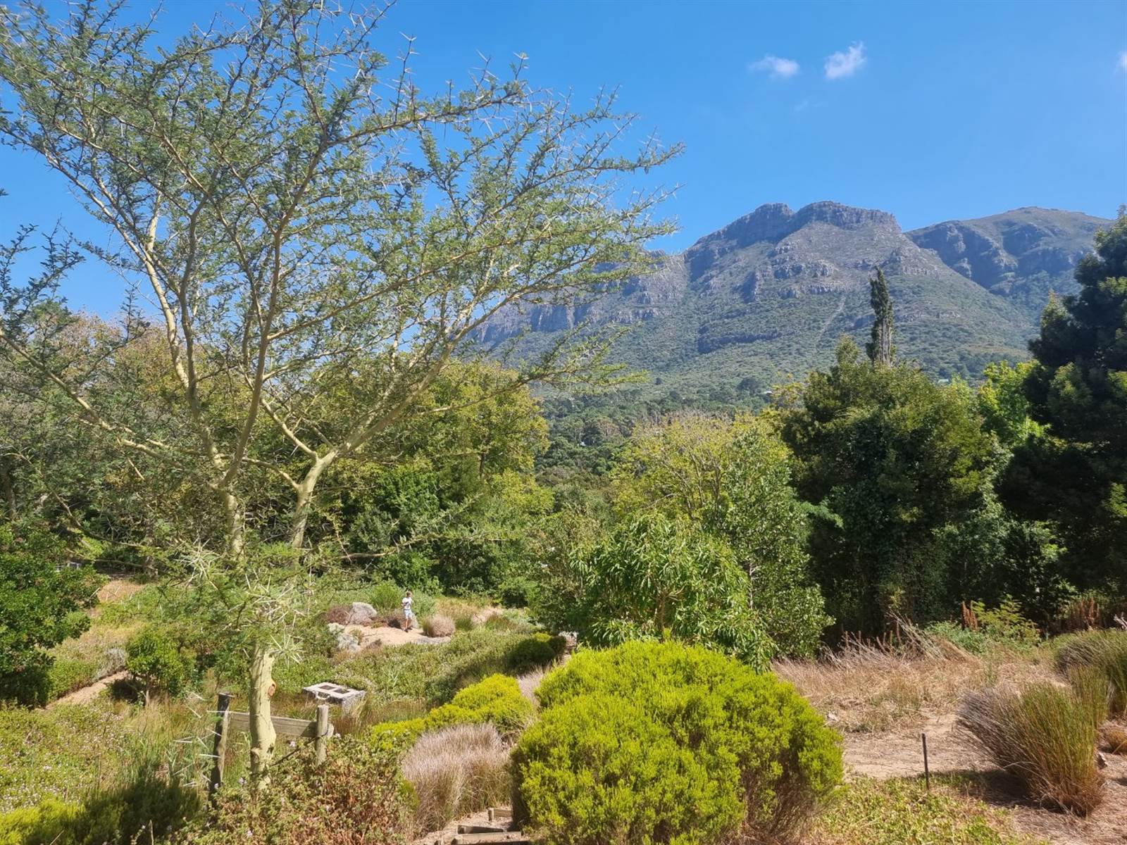673 m² Land available in Hout Bay and surrounds photo number 8