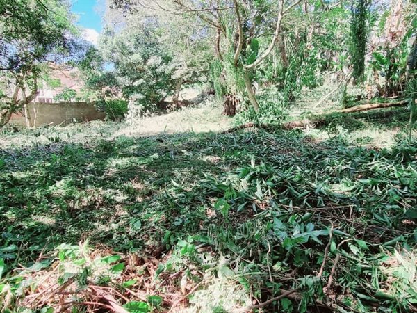2071 m² Land available in Kloof