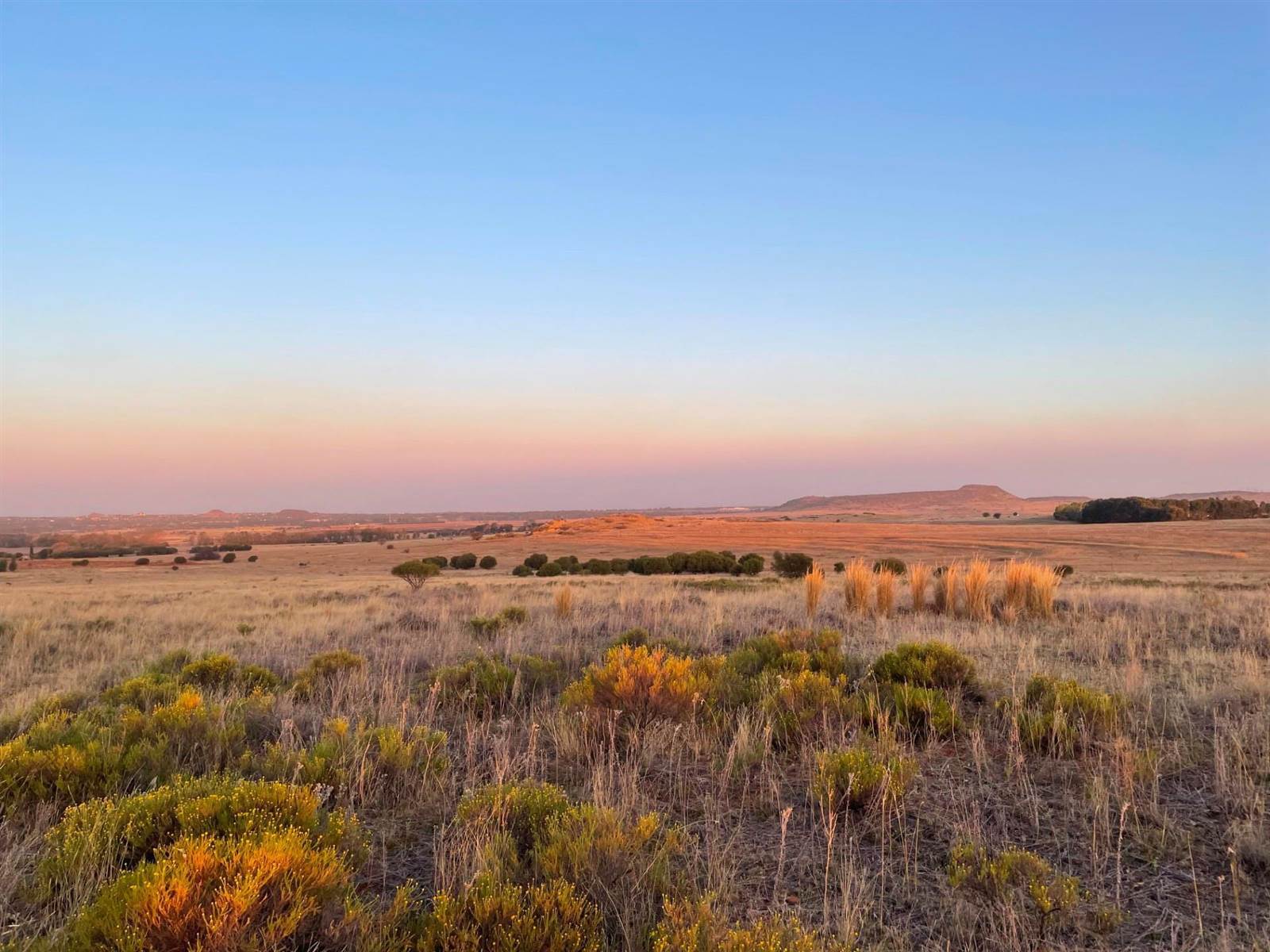 24.3 ha Land available in Bloemfontein Rural photo number 5