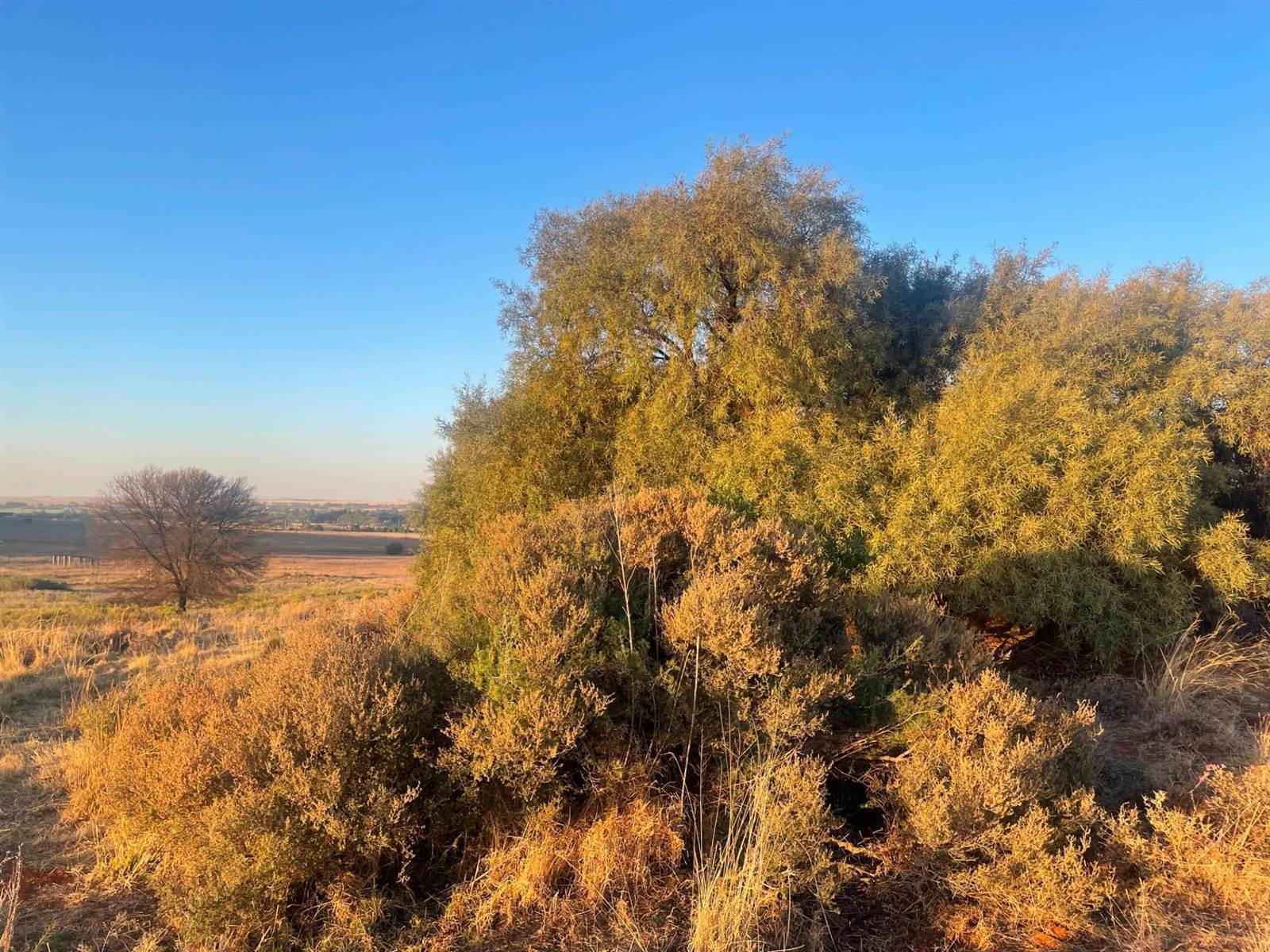 24.3 ha Land available in Bloemfontein Rural photo number 8