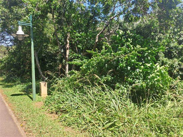 1 207 m² Land 1 207 m² Land