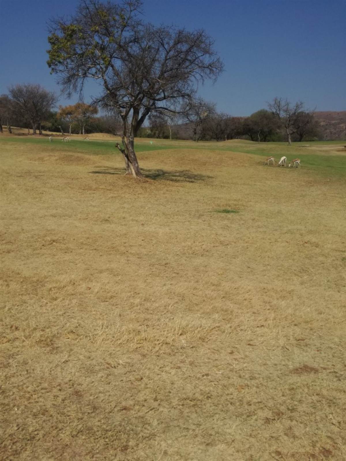 1199 m² Land available in Hartbeespoort Dam photo number 7