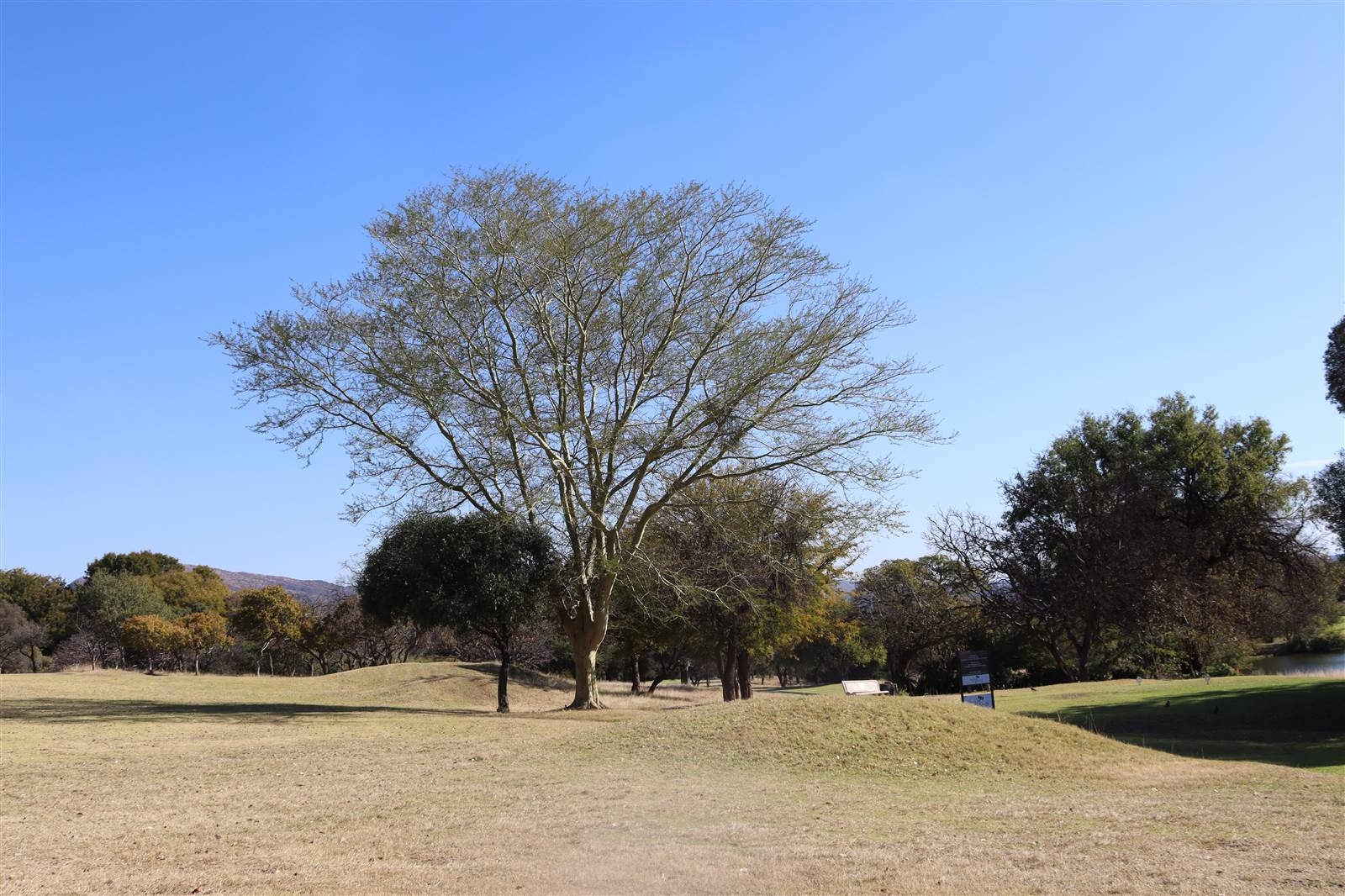 908 m² Land available in Seasons Lifestyle Estate photo number 20