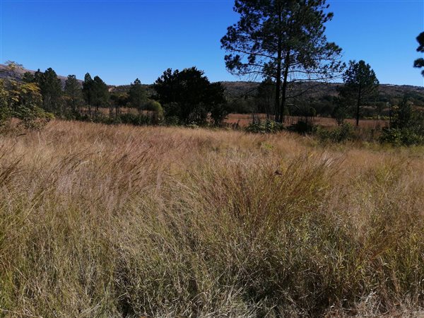 4.2 ha Smallholding 4.2 ha Smallholding