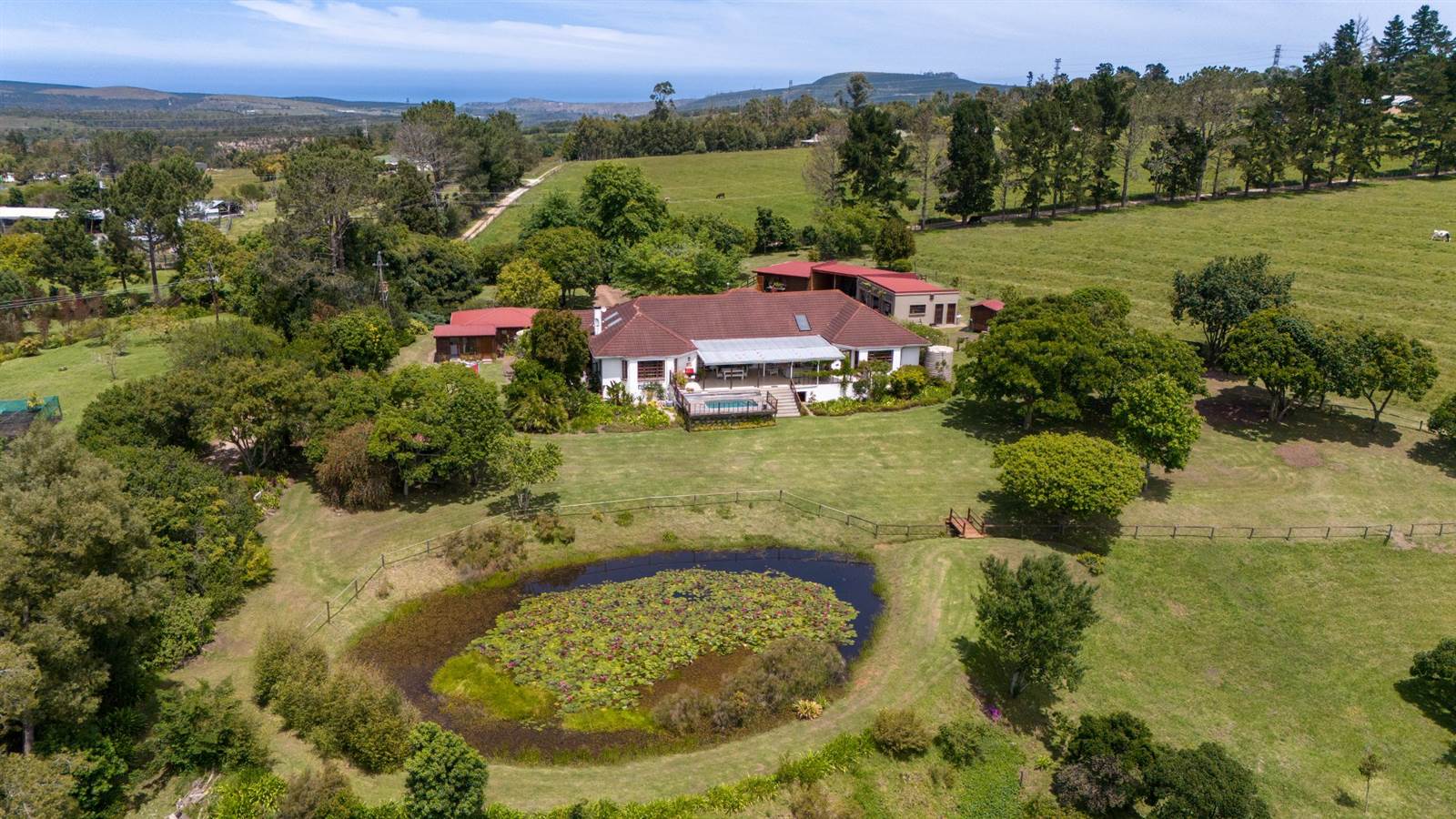 3.3 ha Smallholding in Knysna Central photo number 2