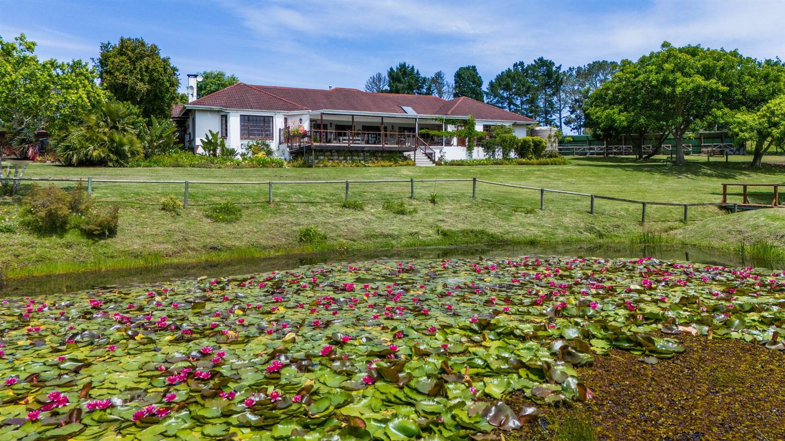 3.3 ha Smallholding in Knysna Central photo number 6
