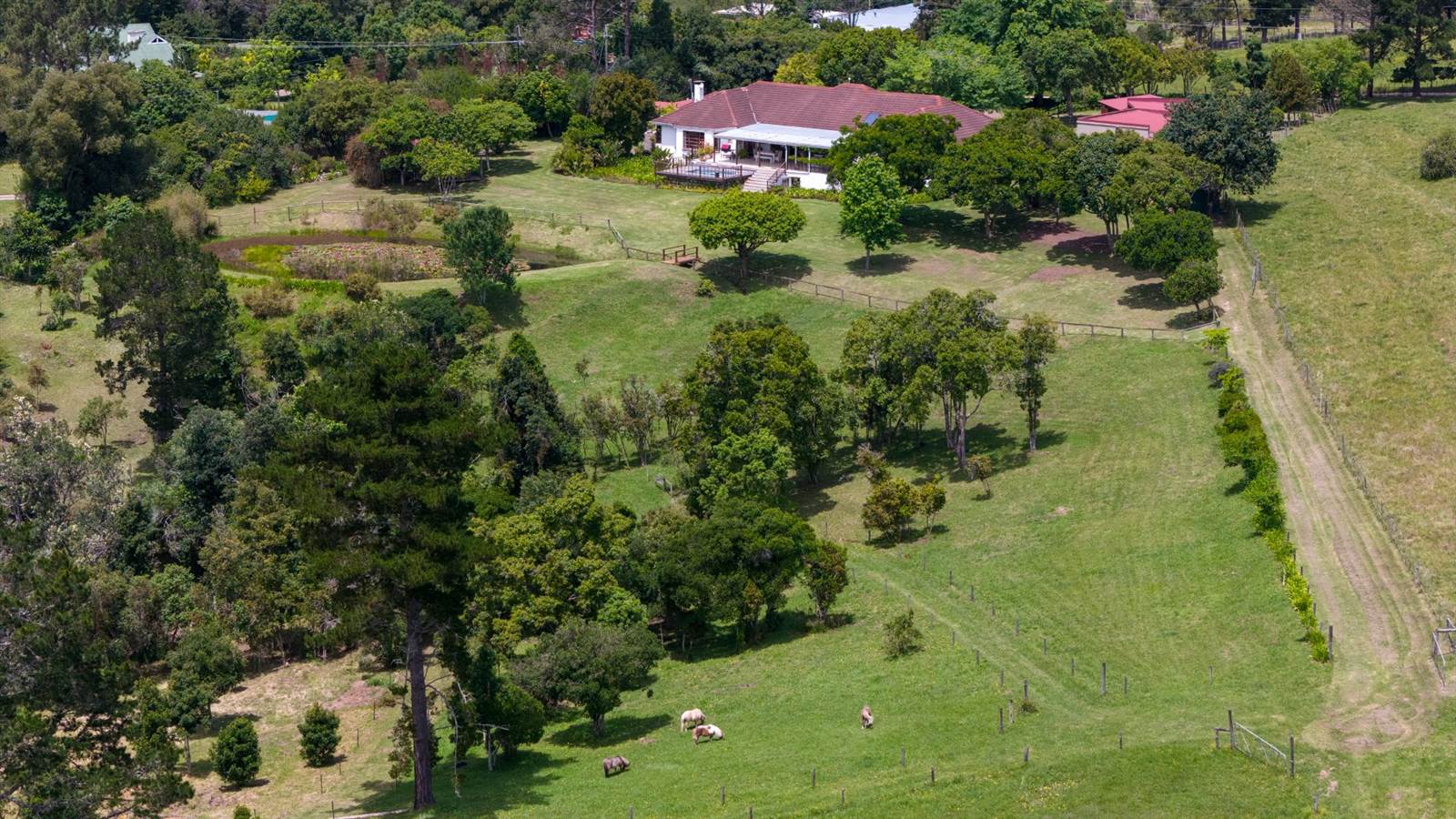 3.3 ha Smallholding in Knysna Central photo number 5