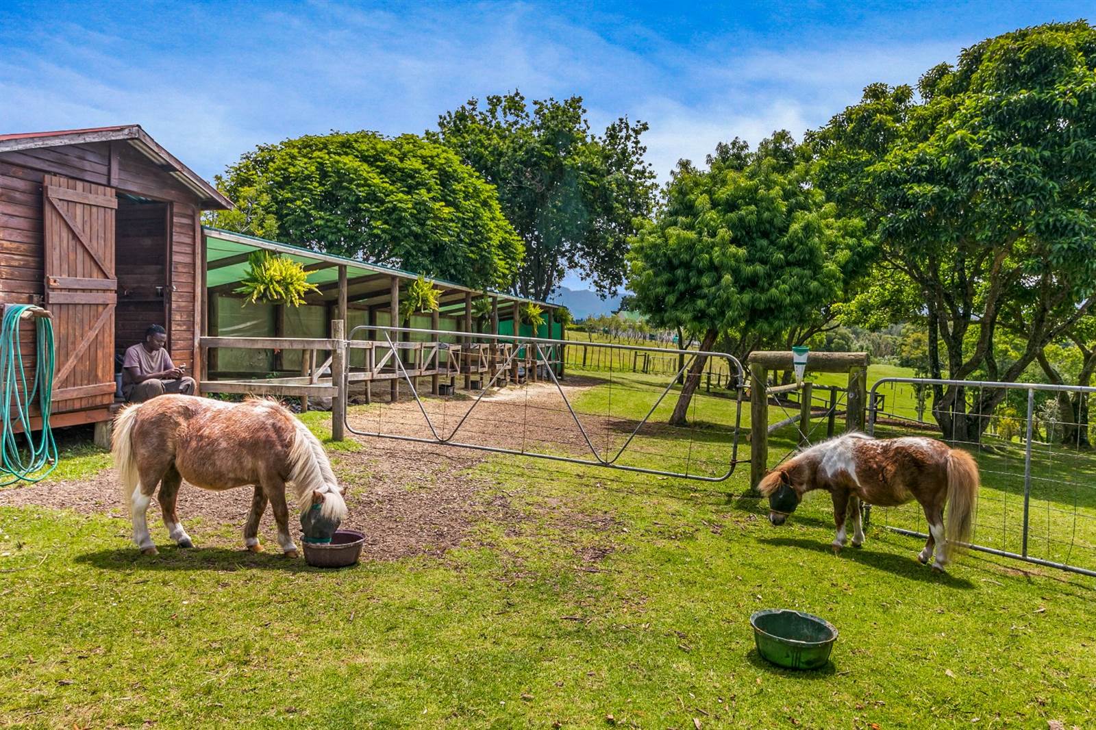3.3 ha Smallholding in Knysna Central photo number 9