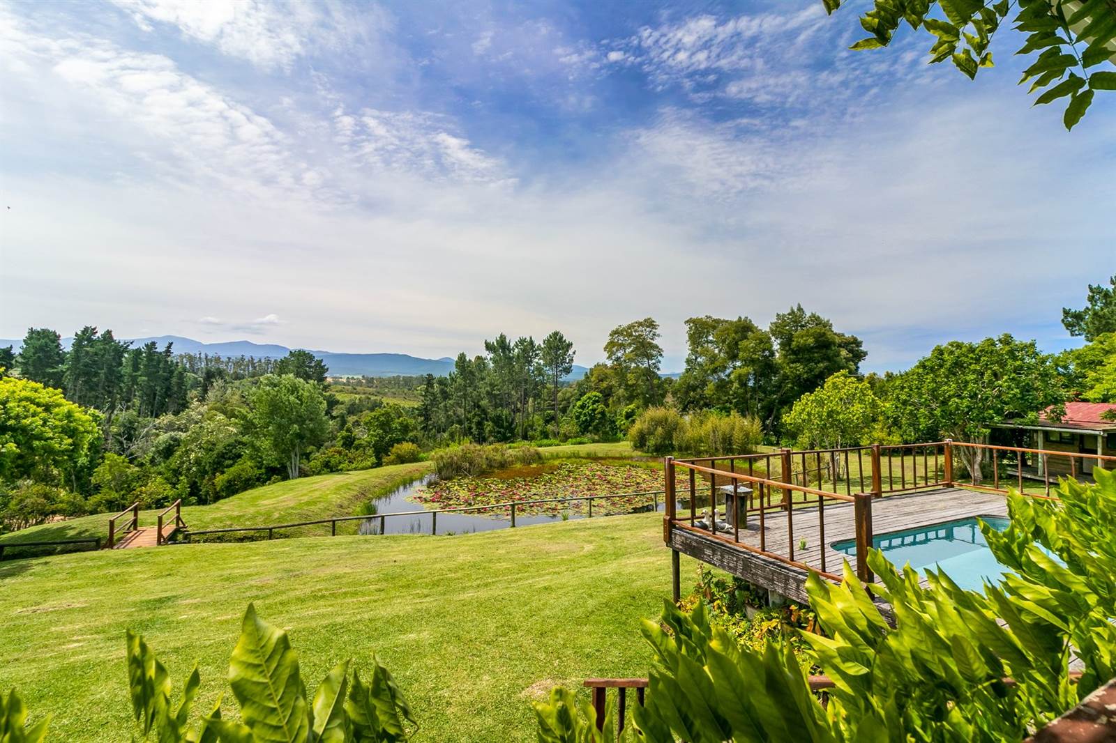 3.3 ha Smallholding in Knysna Central photo number 13