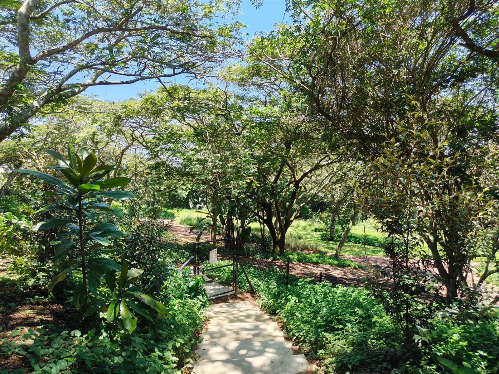 504 m² Land available in Ballito photo number 25