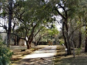8.6 ha Farm in Hennops River