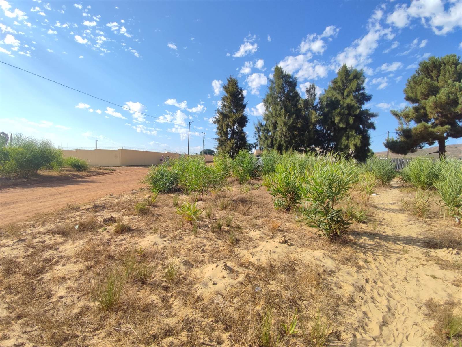 992 m² Land available in Chatsworth photo number 5