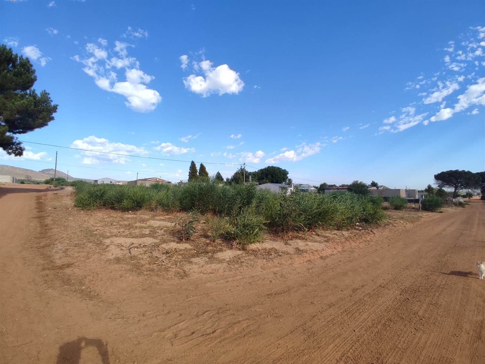992 m² Land available in Chatsworth photo number 8