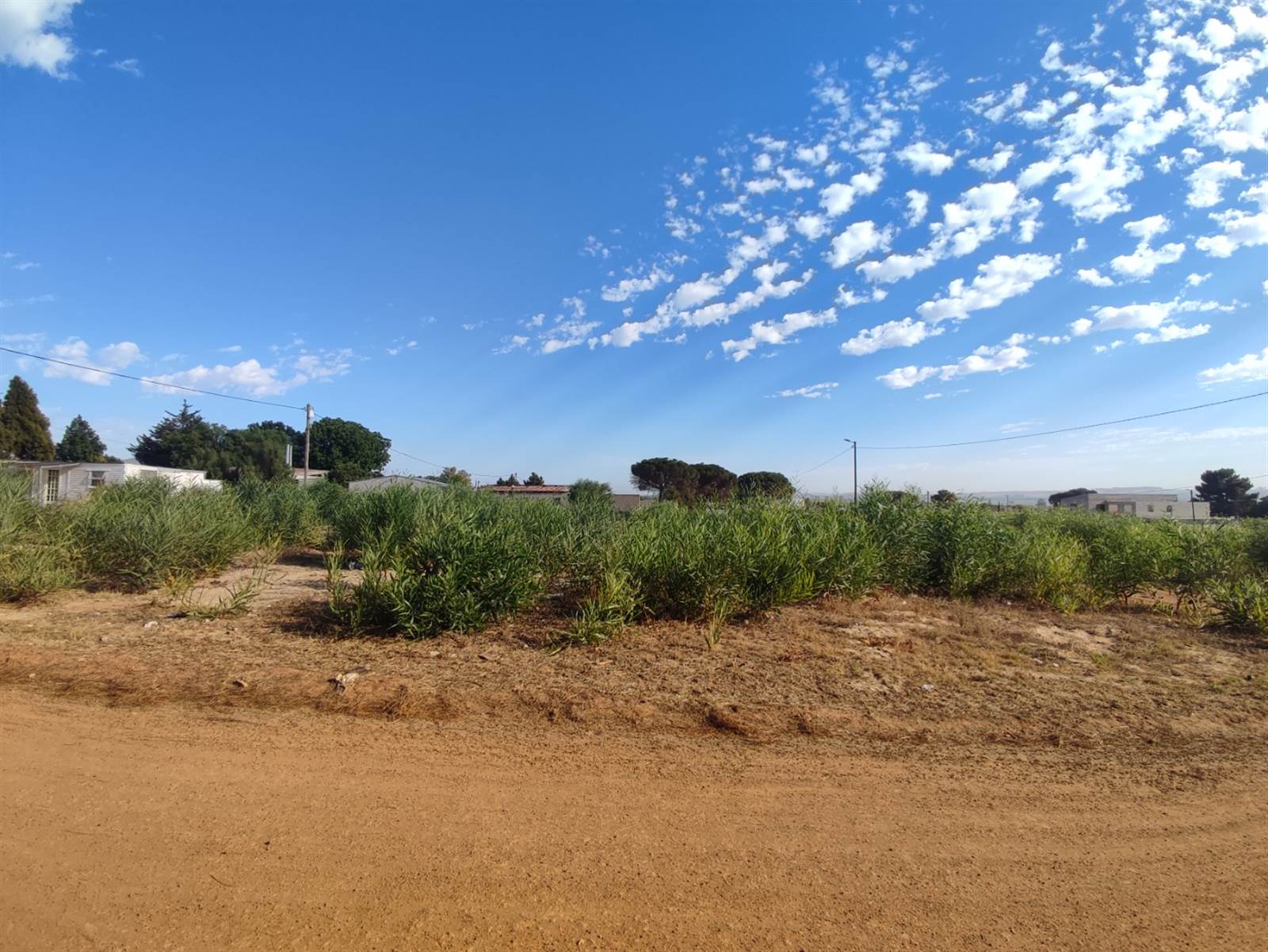 992 m² Land available in Chatsworth photo number 4