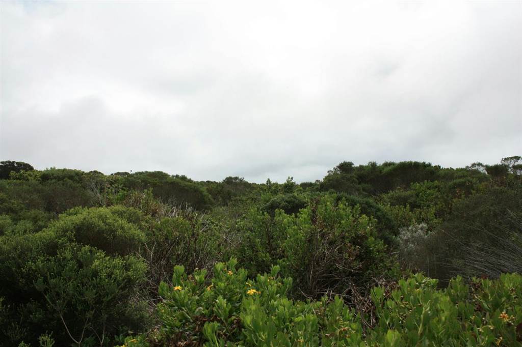 1441 m² Land available in Pinnacle Point Golf Estate photo number 15