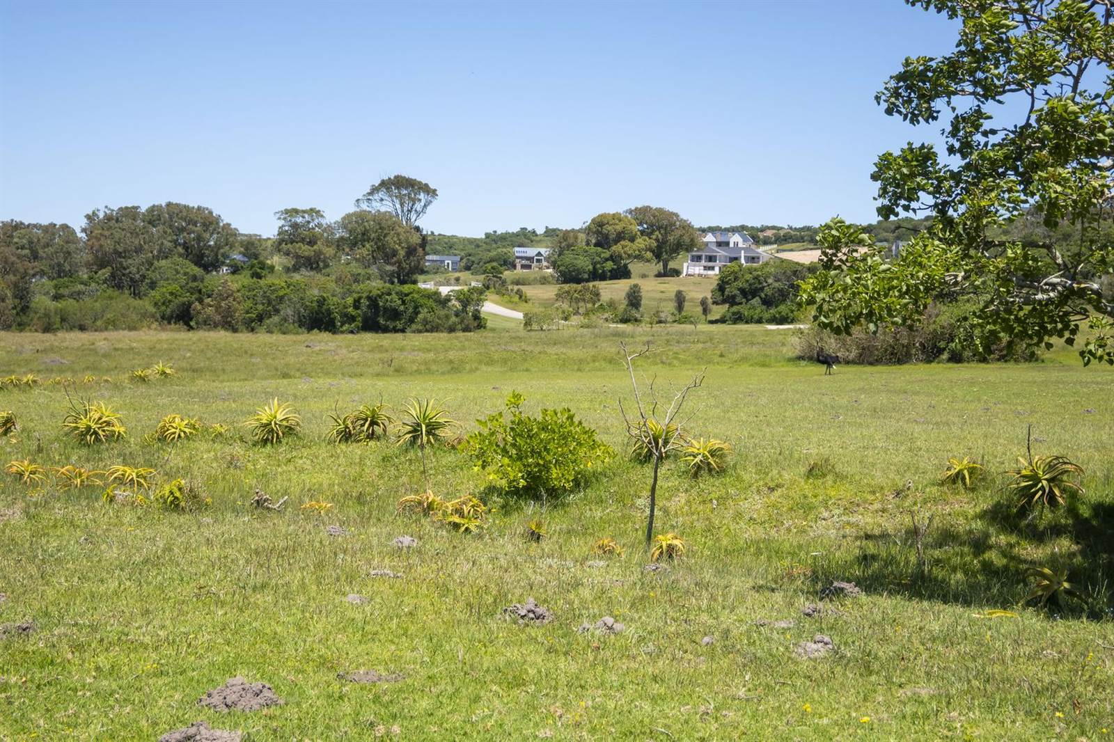 1505 m² Land available in Colleen Glen photo number 13