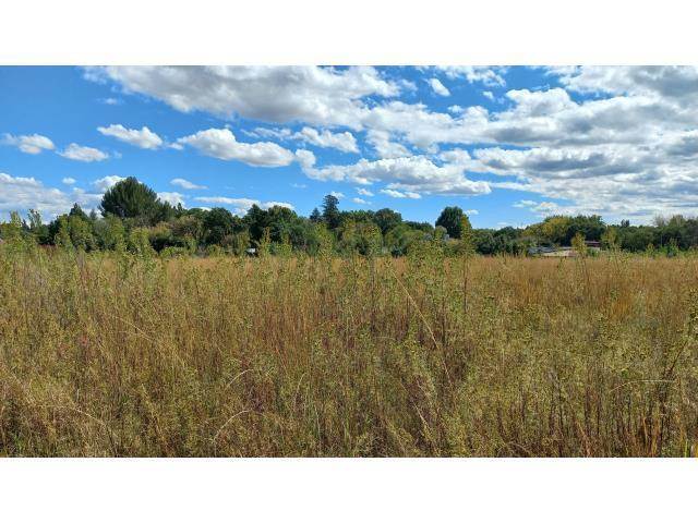 4047 m² Land available in Henley on Klip photo number 3