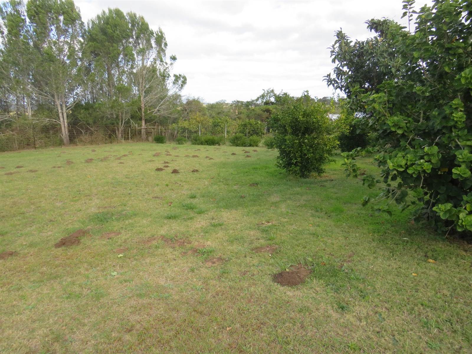 1375 m² Land available in Bathurst and Surrounds photo number 1