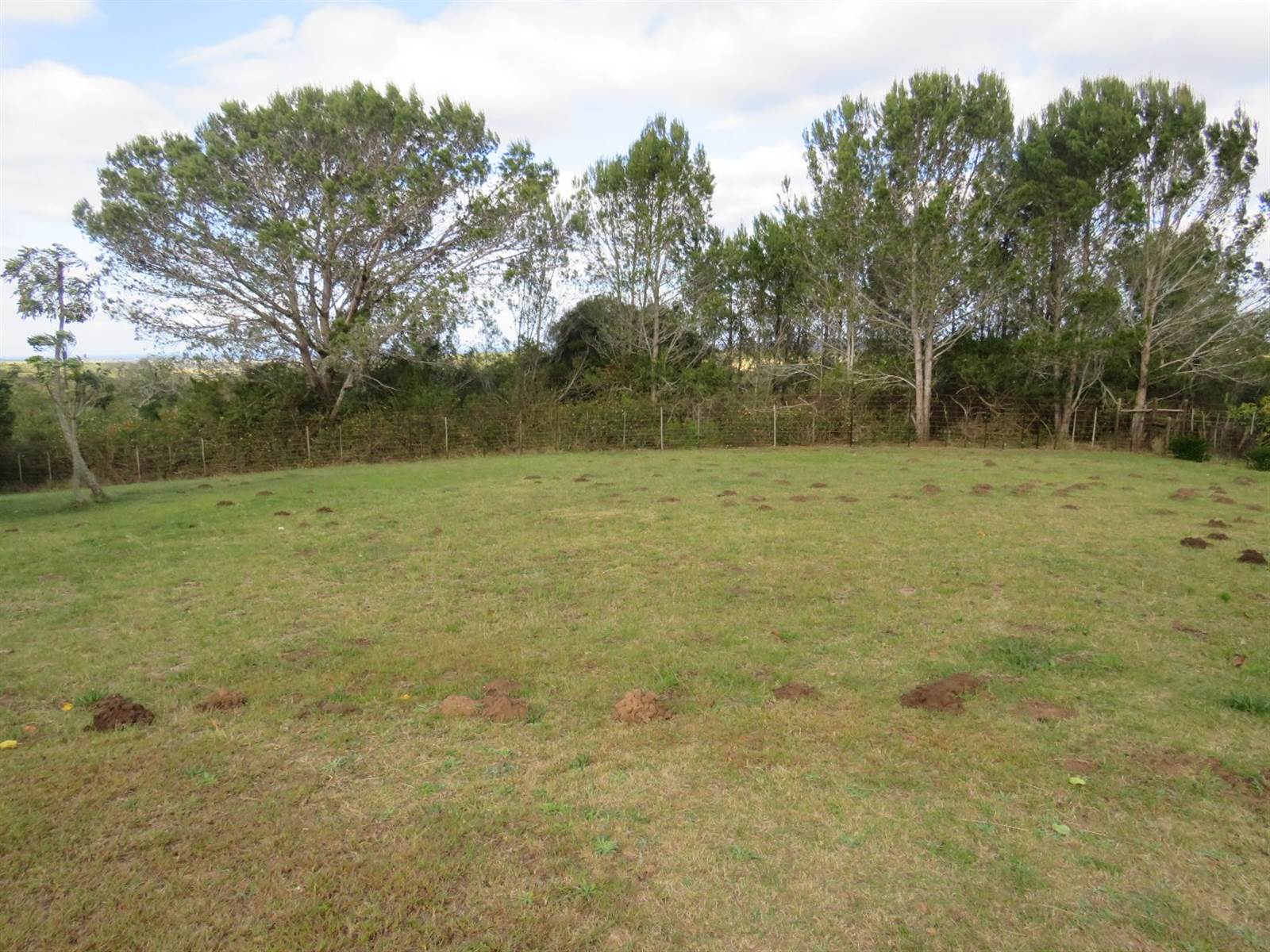 1375 m² Land available in Bathurst and Surrounds photo number 6