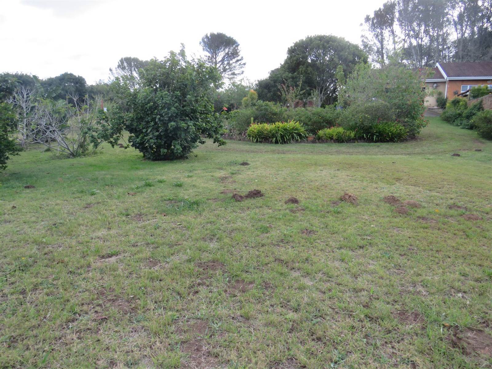 1375 m² Land available in Bathurst and Surrounds photo number 3