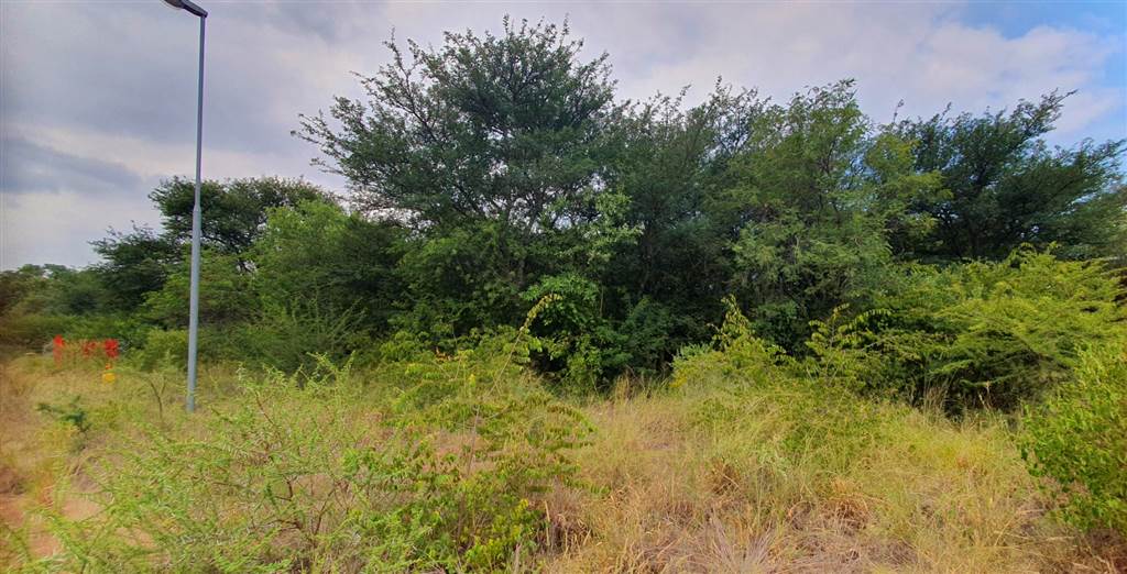 1036 m² Land available in Mookgophong (Naboomspruit) photo number 2