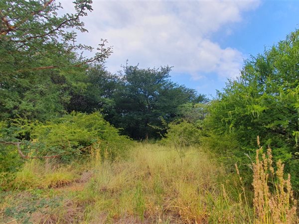 1036 m² Land available in Mookgophong (Naboomspruit)