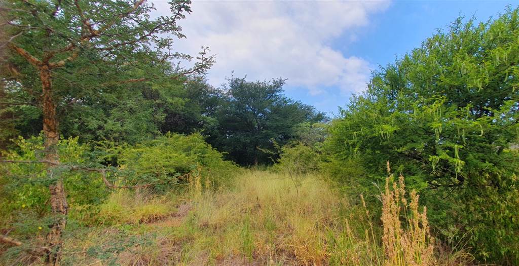 1036 m² Land available in Mookgophong (Naboomspruit) photo number 1