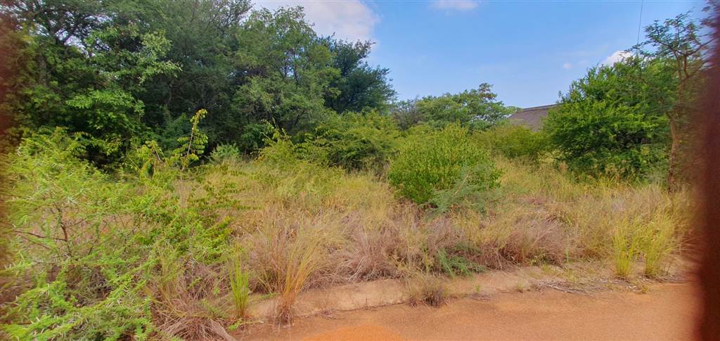 1036 m² Land available in Mookgophong (Naboomspruit) photo number 3