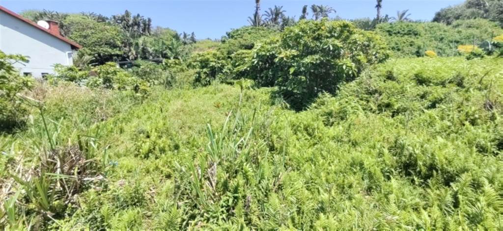 929 m² Land available in Hibberdene photo number 5